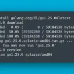 Go Language Golang Programming Developers Tools Toolchain Version Release Performance 2048X1183 1