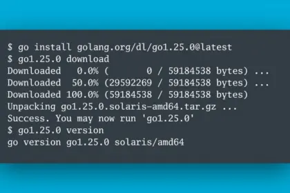 Go Language Golang Programming Developers Tools Toolchain Version Release Performance 2048X1183 1