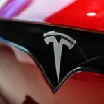 Tesla Owners Disguise Car