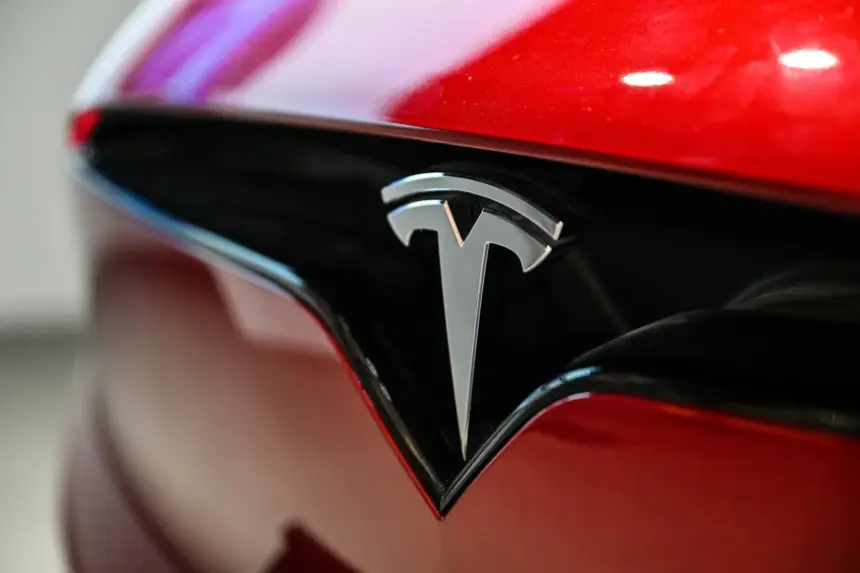 Tesla Owners Disguise Car